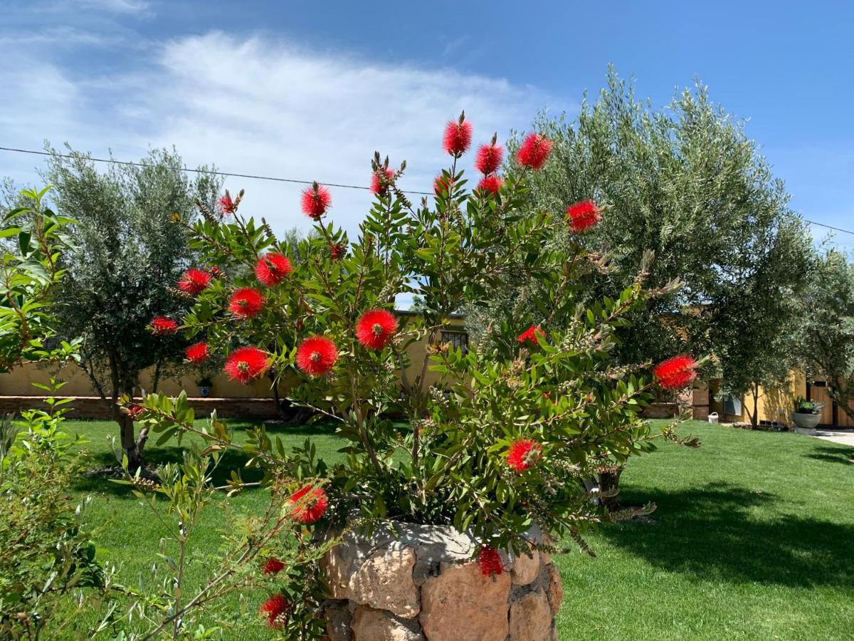 Penzion Cortijo Bustamante Baza Exteriér fotografie